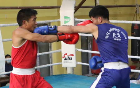 फाइल तस्बिर।